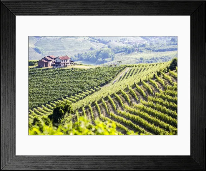 Framed Print : Serralunga d Alba, Barolo wine region, Langhe, Piedemont, Italy Framed Print : Serralunga d Alba, Barolo wine region, Langhe, Piedemont, Italy