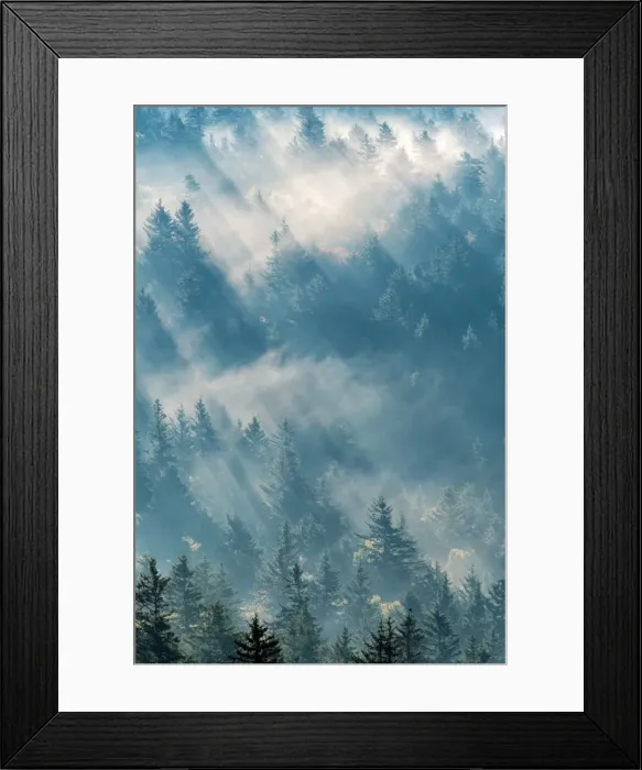 Framed Print : United States, North Carolina, Jackson County Framed Print : United States, North Carolina, Jackson County