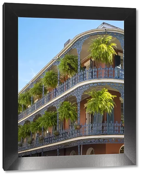 United States, Louisiana, New Orleans. French Quarter balconies on Royal Street