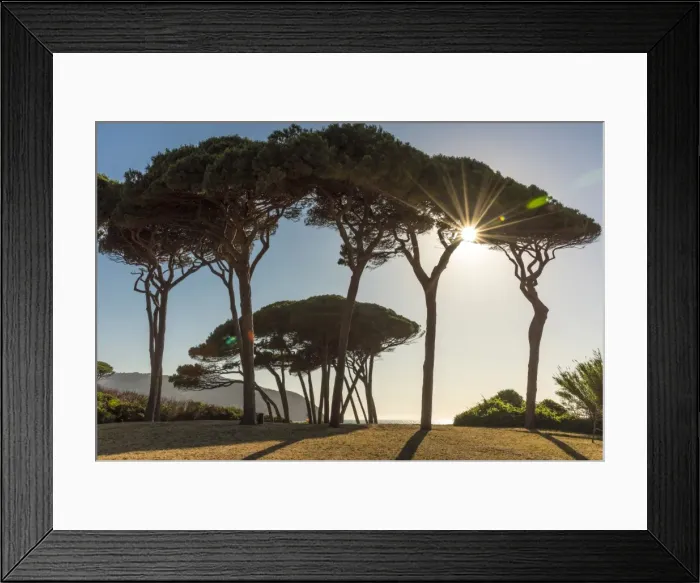 Framed Print : Italy, Tuscany, the beach at Golfo di Baratti at sunset Framed Print : Italy, Tuscany, the beach at Golfo di Baratti at sunset
