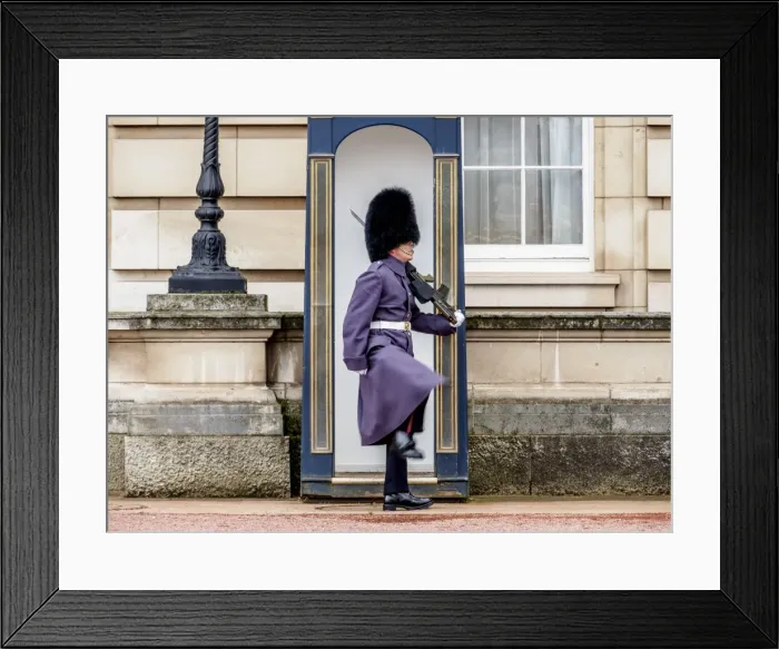 Framed Print : Guard at Buckingham Palace, London, England, United Kingdom Framed Print : Guard at Buckingham Palace, London, England, United Kingdom