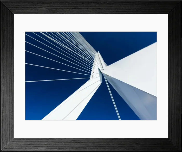 Framed Print : Erasmus Bridge, Wilhelminakade, Rotterdam, Netherlands Framed Print : Erasmus Bridge, Wilhelminakade, Rotterdam, Netherlands