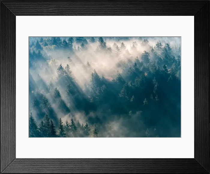 Framed Print : United States, North Carolina, Jackson County Framed Print : United States, North Carolina, Jackson County