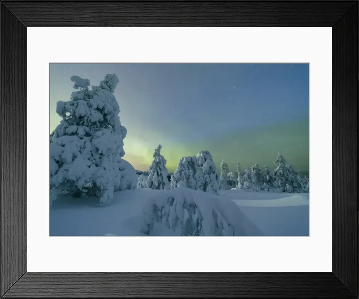 Framed Print : Frozen trees in snowy woods framed by starry sky in the cold polar night Ruka Kuusamo Framed Print : Frozen trees in snowy woods framed by starry sky in the cold polar night Ruka Kuusamo