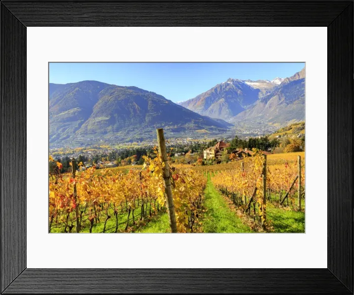 Framed Print : View of Ramez Castle surrounded by vineyards Framed Print : View of Ramez Castle surrounded by vineyards