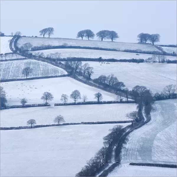 Snow covered winding country lane and rural landscape near Stockleigh Pomeroy, Mid Devon, England
