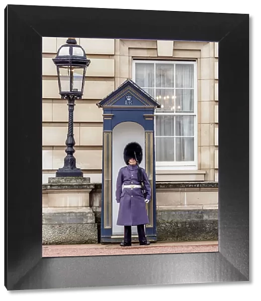 Guard at Buckingham Palace, London, England, United Kingdom