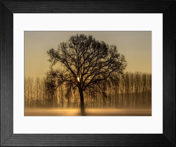 Framed Print : Turin province, Piedmont, Italy, Europe. Magic sunrise in the Piedmont plain