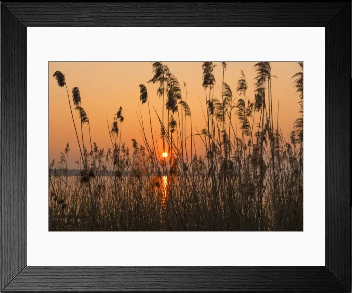 Framed Print : italy, Veneto, Garda Lake, sunset at lake Framed Print : italy, Veneto, Garda Lake, sunset at lake