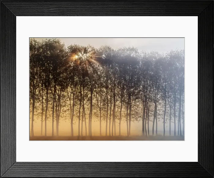 Framed Print : Turin province, Piedmont, Italy, Europe. Magic sunrise in the Piedmont plain Framed Print : Turin province, Piedmont, Italy, Europe. Magic sunrise in the Piedmont plain