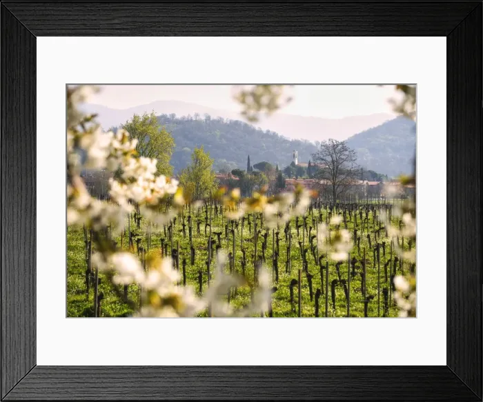 Framed Print : Camignone, Franciacorta, Brescia province, Italy, Europe Framed Print : Camignone, Franciacorta, Brescia province, Italy, Europe