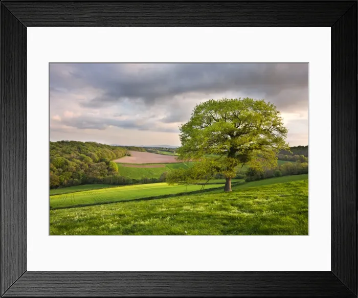Framed Print : Countryside near Nymet Rowland, Devon, England. Spring (May) 2009 Framed Print : Countryside near Nymet Rowland, Devon, England. Spring (May) 2009