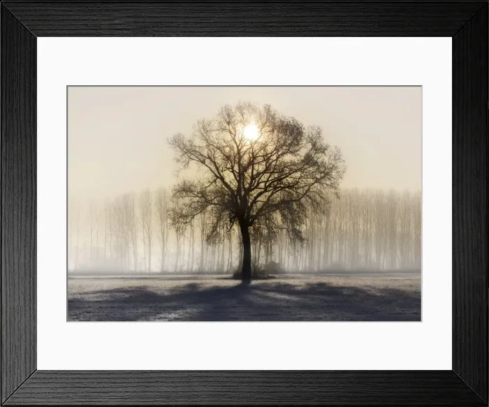 Framed Print : Turin province, Piedmont, Italy, Europe. Magic sunrise in the Piedmont plain Framed Print : Turin province, Piedmont, Italy, Europe. Magic sunrise in the Piedmont plain