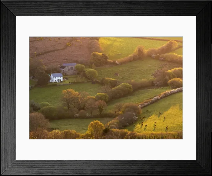 Framed Print : Rural cottage in idyllic countryside surroundings, Dartmoor National Park, Devon, England