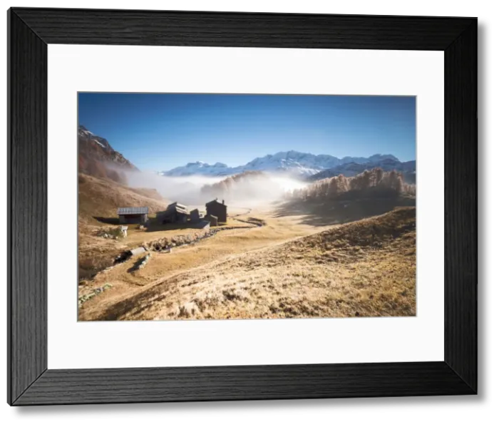 Framed Print : Morning fog on the mountain huts of Buaira framed by snowy peaks Sils Maloja Canton Framed Print : Morning fog on the mountain huts of Buaira framed by snowy peaks Sils Maloja Canton