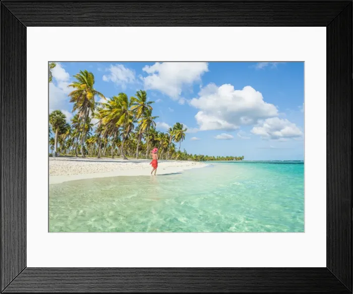 Framed Print : Canto de la Playa, Saona Island, East National Park (Parque Nacional del Este), Dominican Republic