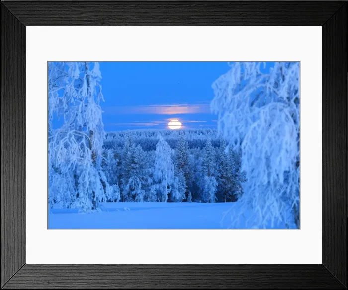 Framed Print : Lunar sunrise over the woods of Lapland. Hukanmaa / Kitkiojoki, Norbottens Ian, Lapland Framed Print : Lunar sunrise over the woods of Lapland. Hukanmaa / Kitkiojoki, Norbottens Ian, Lapland