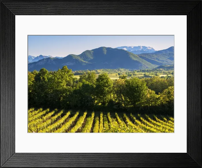 Framed Print : Sunrise in Franciacorta, Brescia province, lombardy district, Italy, Europe