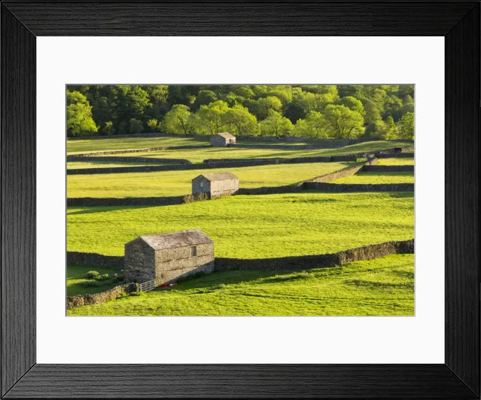 Framed Print : United Kingdom, England, North Yorkshire, Gunnerside. Traditional barns in Swaledale Framed Print : United Kingdom, England, North Yorkshire, Gunnerside. Traditional barns in Swaledale