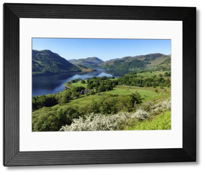 Framed Print : Europe, United Kingdom, England, Cumbria, Lake District, Ullswater, Yew Crag On Gowbarrow Fell Framed Print : Europe, United Kingdom, England, Cumbria, Lake District, Ullswater, Yew Crag On Gowbarrow Fell