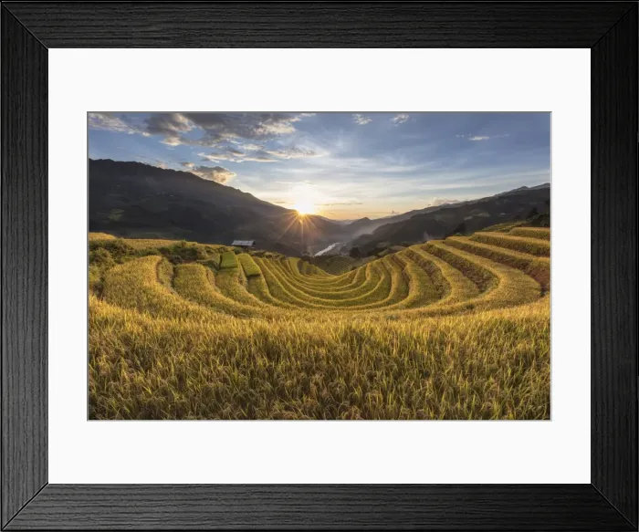 Framed Print : A pattern of rice terraces at sunset, Mu Cang Chai Yen Bai Province, Vietnam, South-East Framed Print : A pattern of rice terraces at sunset, Mu Cang Chai Yen Bai Province, Vietnam, South-East