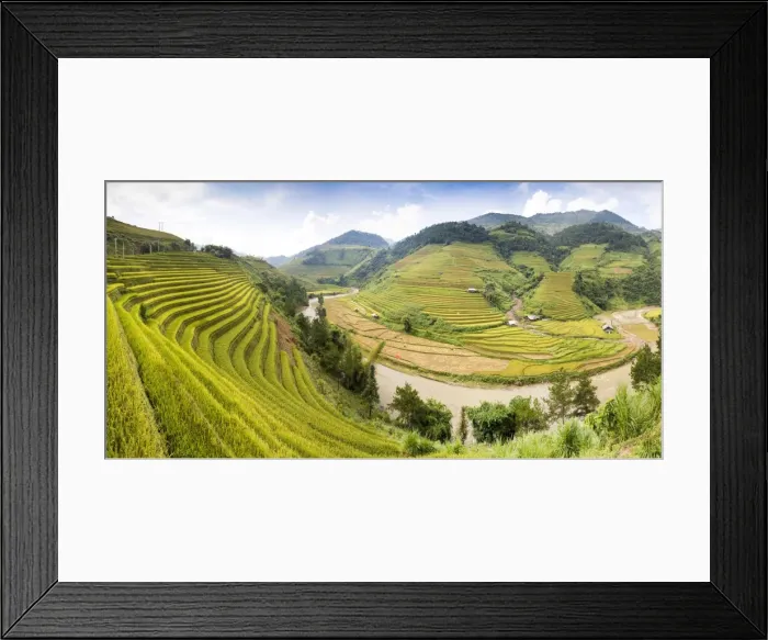 Framed Print : A river flows through lush, green rice terraces, Mu Cang Chai, Yen Bai Province, Vietnam Framed Print : A river flows through lush, green rice terraces, Mu Cang Chai, Yen Bai Province, Vietnam