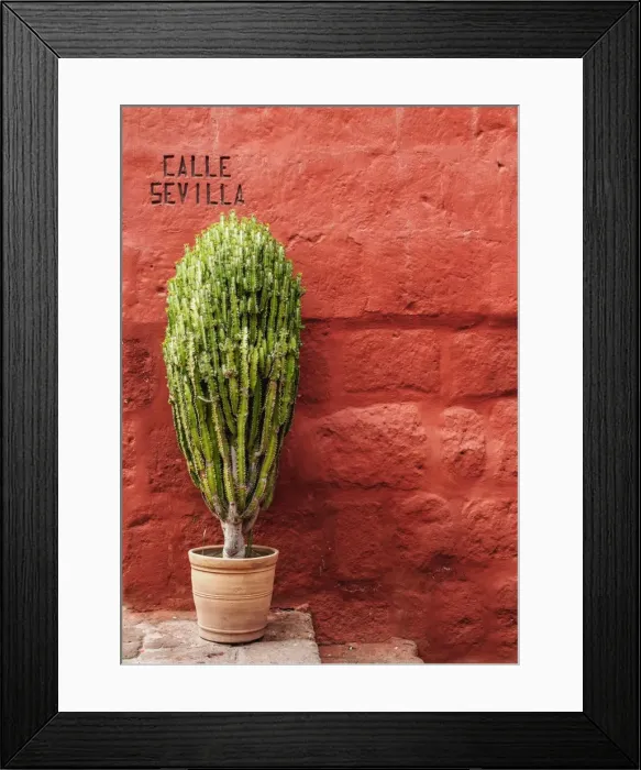 Framed Print : Sevilla Street, Santa Catalina Monastery, Arequipa, Peru Framed Print : Sevilla Street, Santa Catalina Monastery, Arequipa, Peru