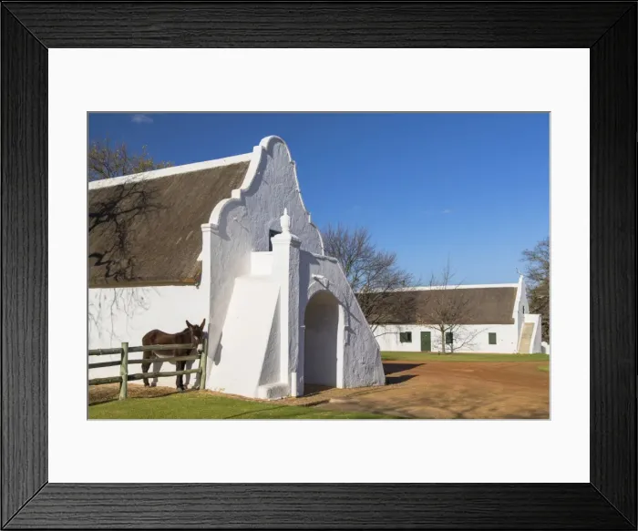 Framed Print : Babylonstoren Wine Estate, Paarl, Western Cape, South Africa Framed Print : Babylonstoren Wine Estate, Paarl, Western Cape, South Africa