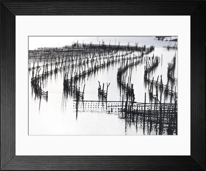 Framed Print : Oyster beds at sunset, Halong Bay, Quang Ninh Province, North-East Vietnam, South-East Framed Print : Oyster beds at sunset, Halong Bay, Quang Ninh Province, North-East Vietnam, South-East