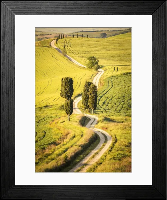 Framed Print : Terrapille, Pienza, Val d Orcia, Tuscany, Italy Framed Print : Terrapille, Pienza, Val d Orcia, Tuscany, Italy