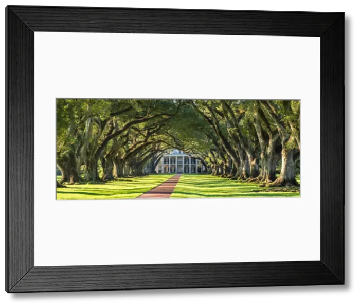 Framed Print : United States, Louisiana, Vacherie. Historic Oak Alley Plantation Framed Print : United States, Louisiana, Vacherie. Historic Oak Alley Plantation