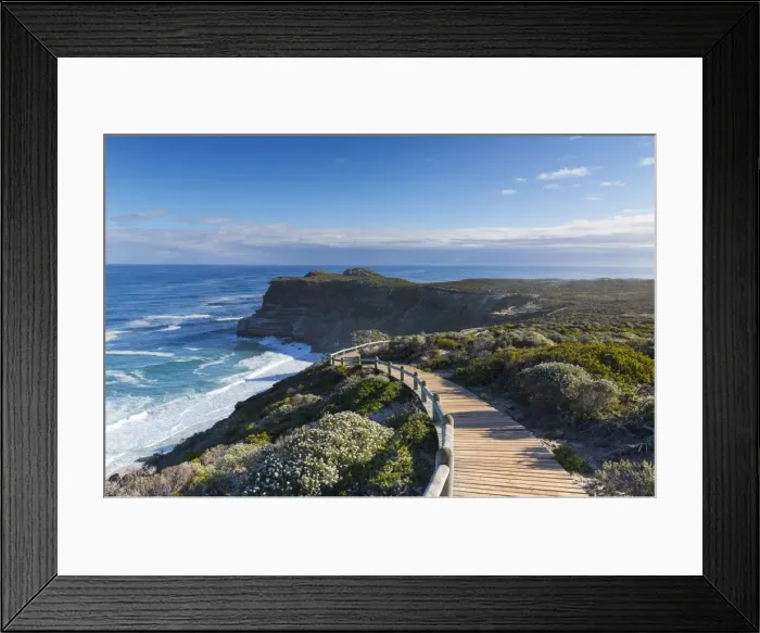 Framed Print : Cape of Good Hope, Cape Point National Park, Cape Town, Western Cape, South Africa Framed Print : Cape of Good Hope, Cape Point National Park, Cape Town, Western Cape, South Africa