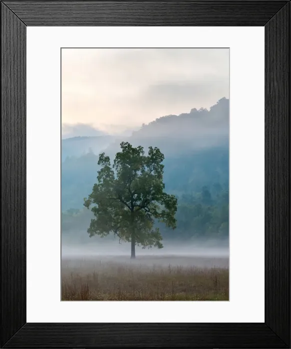 Framed Print : United States, North Carolina, Haywood County, Waynesville. Foggy morning in Cataloochee Valley Framed Print : United States, North Carolina, Haywood County, Waynesville. Foggy morning in Cataloochee Valley