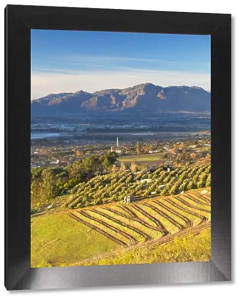Paarl Valley at sunrise, Paarl, Western Cape, South Africa