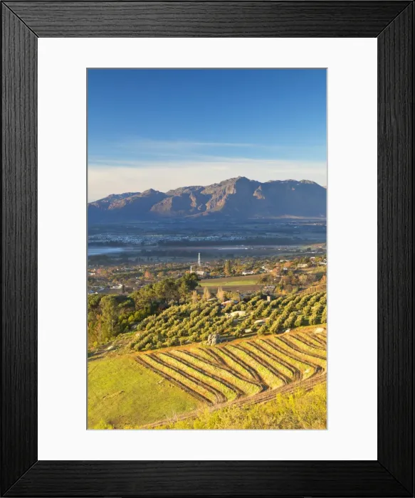 Framed Print : Paarl Valley at sunrise, Paarl, Western Cape, South Africa Framed Print : Paarl Valley at sunrise, Paarl, Western Cape, South Africa