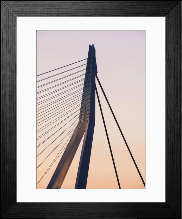 Framed Print : Erasmus Bridge, Rotterdam, Netherlands