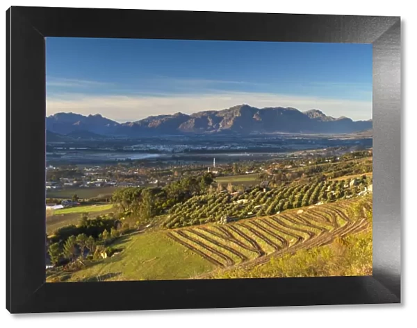 View of Paarl Valley, Paarl, Western Cape, South Africa