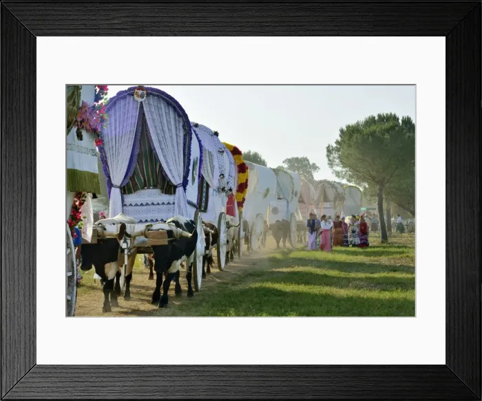Framed Print : Pilgrims belonging to the Hermandad (Brotherhood) de Triana on their way to El Rocio Framed Print : Pilgrims belonging to the Hermandad (Brotherhood) de Triana on their way to El Rocio