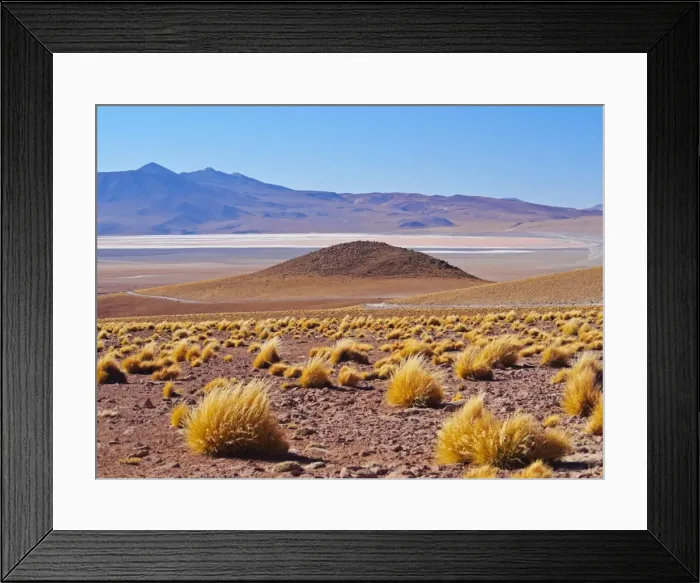 Framed Print : Bolivia, Potosi Departmant, Sur Lipez Province, Eduardo Avaroa Andean Fauna National Reserve Framed Print : Bolivia, Potosi Departmant, Sur Lipez Province, Eduardo Avaroa Andean Fauna National Reserve