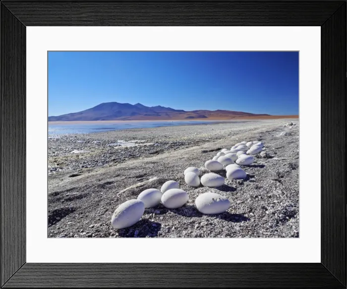 Framed Print : Bolivia, Potosi Departmant, Sur Lipez Province, Eduardo Avaroa Andean Fauna National Reserve Framed Print : Bolivia, Potosi Departmant, Sur Lipez Province, Eduardo Avaroa Andean Fauna National Reserve