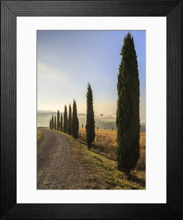 Framed Print : A typical street in Tuscany, with cypresses and in the background the chapel of Vitaleta