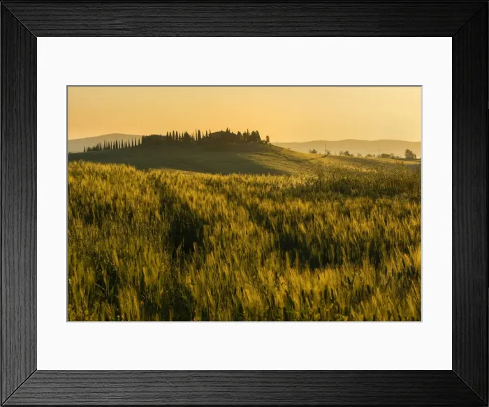 Framed Print : Tuscany hills at sunrise, Val d Orcia, Tuscany, Italy Framed Print : Tuscany hills at sunrise, Val d Orcia, Tuscany, Italy