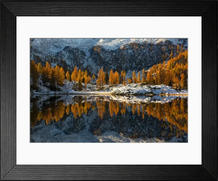 Framed Print : Europe, Italy, refclections in Adamello - Brenta Park, Trentino Alto Adige Framed Print : Europe, Italy, refclections in Adamello - Brenta Park, Trentino Alto Adige