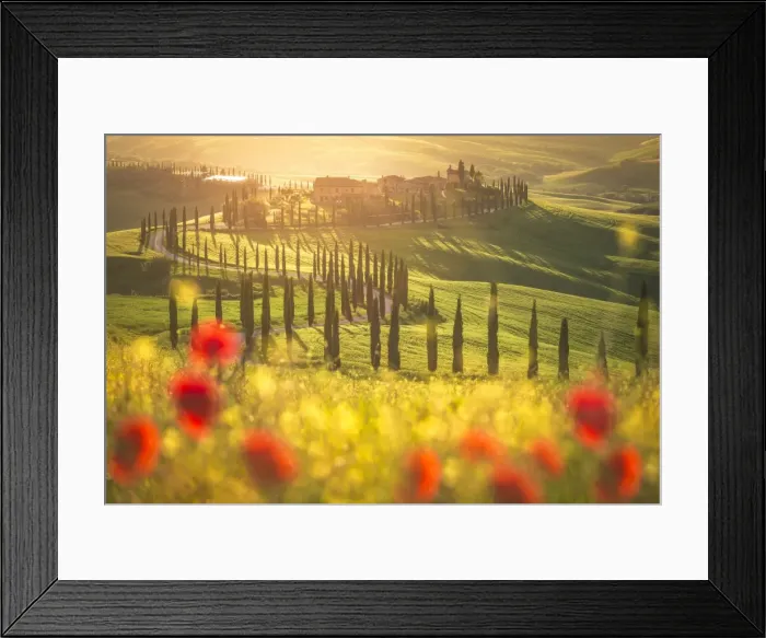 Framed Print : Podere Baccoleno, Asciano, Crete senesi, Tuscany, Italy Framed Print : Podere Baccoleno, Asciano, Crete senesi, Tuscany, Italy