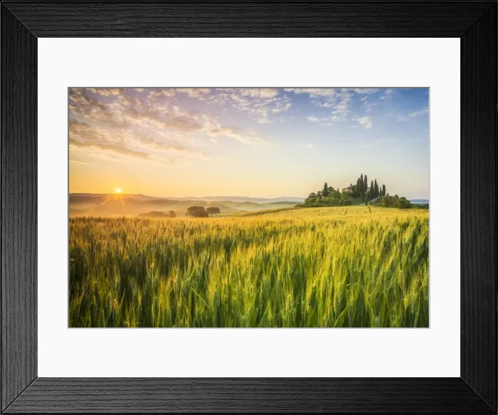 Framed Print : Podere Belvedere, San Quirico d Orcia, Val d Orcia, Tuscany, Italy Framed Print : Podere Belvedere, San Quirico d Orcia, Val d Orcia, Tuscany, Italy