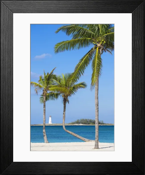 Framed Print : Caribbean, Bahamas, Providence Island, Nassau, Palm trees on white sand beach with Framed Print : Caribbean, Bahamas, Providence Island, Nassau, Palm trees on white sand beach with