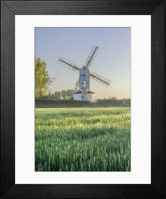Framed Print : UK, England, Suffolk, Saxtead Green, Saxtead Green Windmill