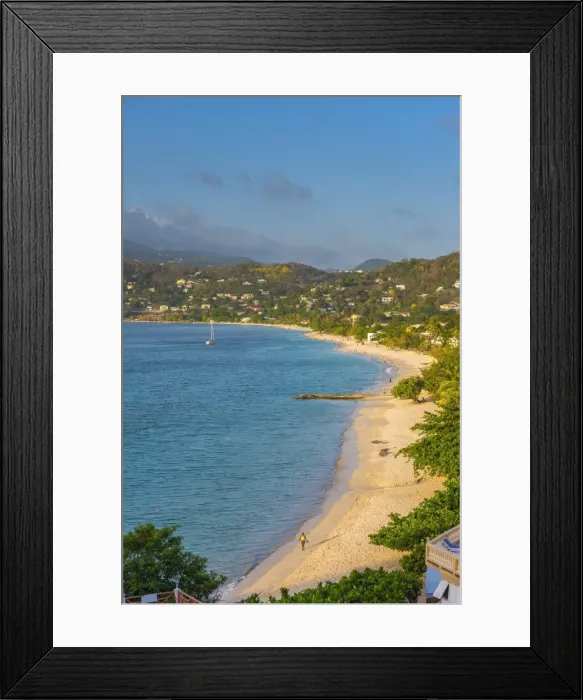 Framed Print : Caribbean, Grenada, Grand Anse Bay, Grand Anse Beach Framed Print : Caribbean, Grenada, Grand Anse Bay, Grand Anse Beach