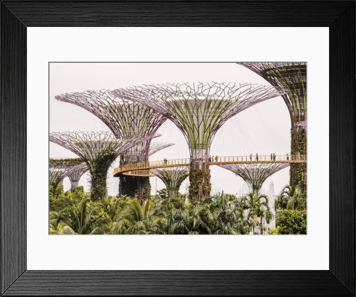 Framed Print : Singapore, Republic of Singapore, Southeast Asia Framed Print : Singapore, Republic of Singapore, Southeast Asia