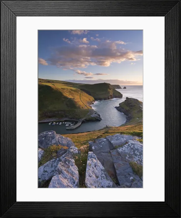 Framed Print : Boscastle Harbour from the coast path, Cornwall, England. Summer (August) Framed Print : Boscastle Harbour from the coast path, Cornwall, England. Summer (August)